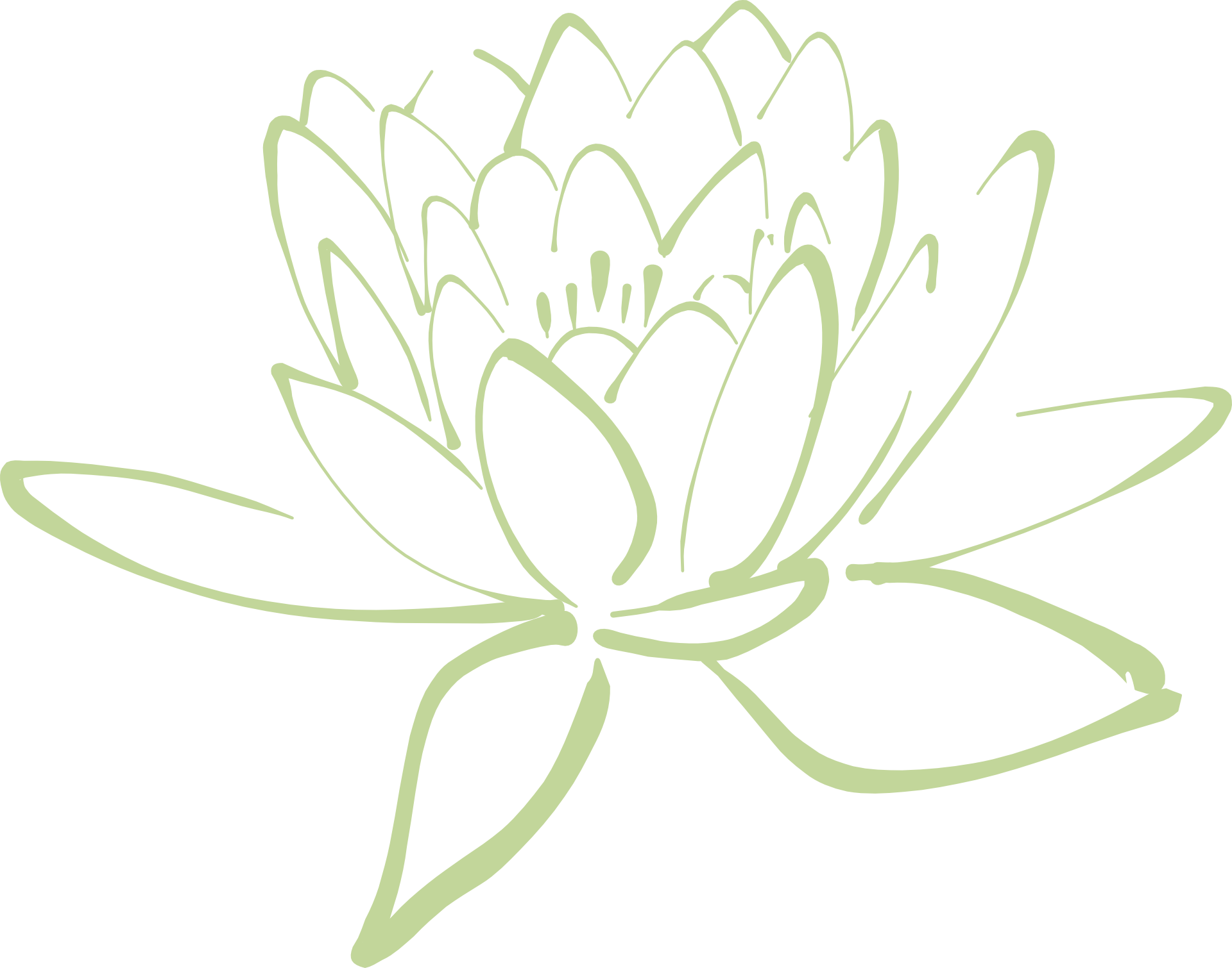 Lotus Blume